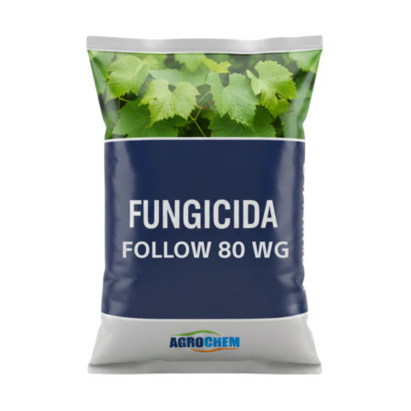 FOLLOW 80 WG