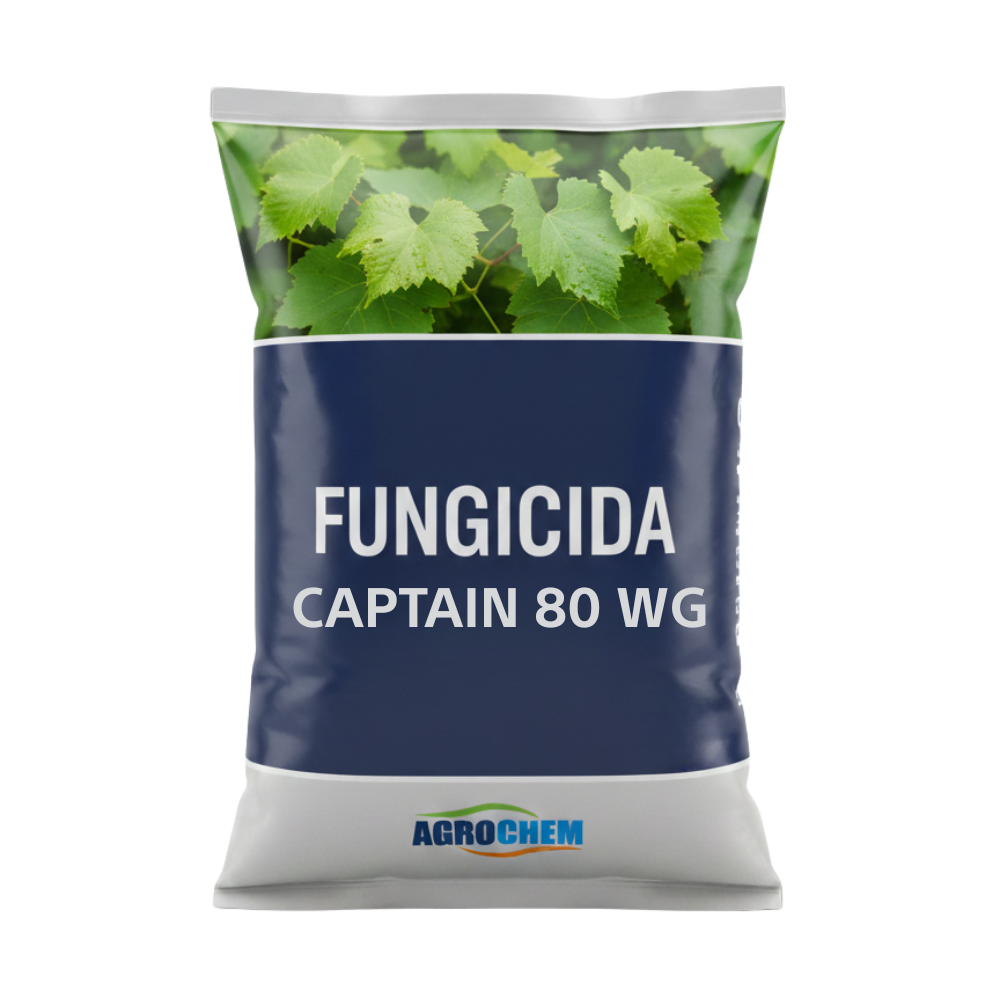 CAPTAIN 80 WG